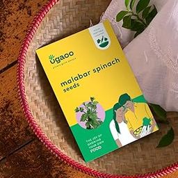 UGAOO Poi Saag or Malabar Spinach Vegetable Seeds (Green, Pack of 8g)-image-84
