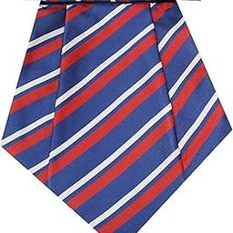 Mens Cravat | Color - Blue & Red Strips | pack of 1 | Size -12 x 9 inches | tweed fabric | Microfiber | Superior finishing | Packaging – White box |-image-86