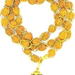 Lord Shiv 5 mukhi rudraksha OM Pendant with Rudraksha mala Wired for Good Luck and Shiv Blessing-33