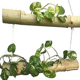 NAOE Wood Step 2 Out Door Living Bamboo Hanging Plant, Brown, 21x24 Inch-image-11