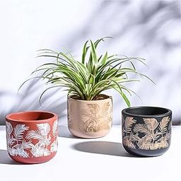 UGAOO Sienna Terracotta Indoor Pot for Plant - Aesthetic, Durable, Premium Planter for Home Décor (Set of 3)-image-10