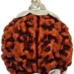 Gemstone Industry Nepali Rudraksha Loose Bead Four Mukhi Rudraksha With Silver Capping 4 Mukhi Rudraksha Original Certified Brown Bead AA++ 4 Face Rudraksha Char Mukhi Rudraksha Chaar Mukhi चार मुखी रुद्राक्ष-picture-55