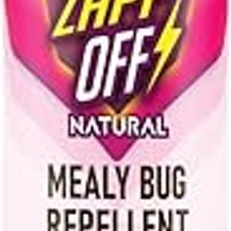 ZappOff Cockroach Repellent Spray | Non-Toxic Cockroach Repellent for Home, Kitchen, and Office | Human & Pet Friendly | 100% Natural & Biodegradable | 200ML-image-94