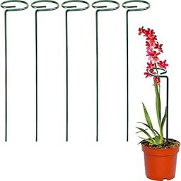 RENDROPS Plant Support Sticks – Pack of 2 Green Plastic-Coated Iron Rods | Reusable Plant Straighteners for Home & Outdoor Gardening-6