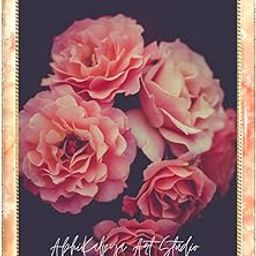 AbhiKalpya Art Studio A3 Size Photo Frame For Document, Photo, Quote,Certificate Wall Hanging Picture Frame For Home and Office Wall Decoration,Size Medium 12x18 inch, Peach-2