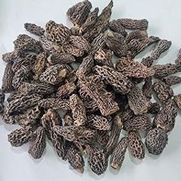 PHs Guchchi - Morel Mushrooms 50g | Dry Tail Cut A Grade Quality | Guchi Dried Packed | Morchella Esculenta | Rich in Protein + Fiber and Low in Fat-image-52
