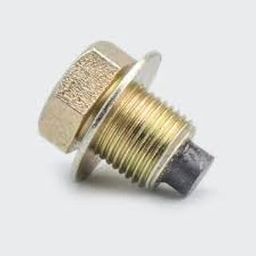AAI JI OIl Bolt With Magnet And Washer For Apache RTR 160/RTR 180-8