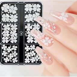 NPAH nail art kit for women - dry flowers for resin art with 3D Floral Charms, White Flower & Gold Silver Nail Ball Beads, Resin Flowers, Stones - nail art sticker for Girls White Flowers-image-63