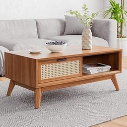 Mid-Century Modern Coffee Table with Cane Storage, Walnut Wood, Living Room Furniture-image-90