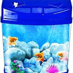 Rizopets Mini Aquarium Fish Tank | Breeding Tank for Betta Fish | Suitable for Home Decoration, Office, & Living Room Decoration (16x18x14 cm) (Blue)-image-10