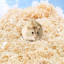 Natural Wood Shaving Premium Small Pet Pine Bedding Soft with Odor Control,Hamster Beddings for Mice Degu Rat Rabbit Bunny Guinea Pig Chinchilla Hedgehog or Other Small Pets (1kg)-13