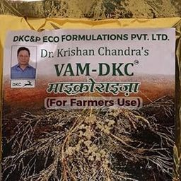 VAM-DKC Mycorrhiza pack of 1 pouch powder form-picture-18