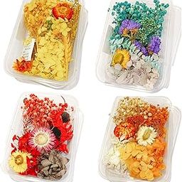 Natural Real Dried Flowers for Art Craft - Mixed & Multicolor for Soap, Artificial Candles, Scrapbooking, DIY, Resin Jewelry, Pendant - [1 Set of Box] MulticolorPack of 1 (Assorted Random Box )-image-25