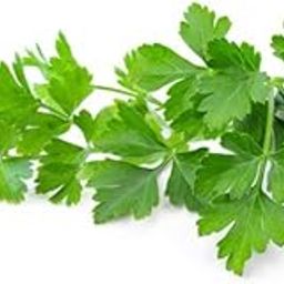 Parsley_Vegetable_Pack of 30 seeds-image-100