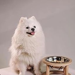 XSOURCE Elevated Wooden Pet Feeder with Stainless Steel Bowls – Raised Stand for Dogs & Cats – Non-Slip, Easy-to-Clean, Modern Feeding Station for Food & Water (Style - 1, 1 Bowl)-image-84