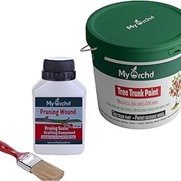 My Orchd | Tree Care Combo – Tree Trunk Paint (2kg) + Pruning Sealer (250g) | Waterproof, Plant-Safe | Protect Bark, Heal Wounds & Pruning Cuts | Garden Tree Maintenance Kit-image-61