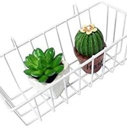 PIKIFY Grid Hanging Iron Basket Wall Mounted Decoration Innovative Flower Pot Shelf for Display Rack - 1Piece (White, Standard)-picture-25