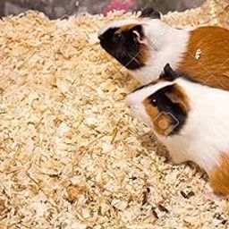 Wood Shavings Bedding All Small Animals/Suitable for Hamster, Rabbit,Guinea Pigs-image-2