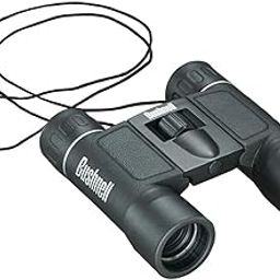 Bushnell Powerview Compact Folding Roof Prism Binocular Black/8x21 AD-picture-5