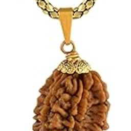 2 Mukhi Rudraksha Pendant Lab Certified Nepali TWO Mukhi Original Certified Rudraksha Pendant with chain for Men and Women, Origin Nepal, Color Brown(ACPC0157A)-image-94