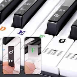GLUN® Piano Stickers Non-Faded Coating Labels for Keys, Removable Keyboard Labels for 37, 49, 54, 61, 88 Key Pianos, Transparent Piano Stickers for Beginners & Kids-13