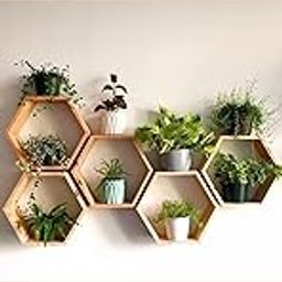 Soulwood by Nandika Hexagonal Wooden Wall Shelf, Honeycomb Floating Display Shelves, Plant Holder, Natural Wood-image-40