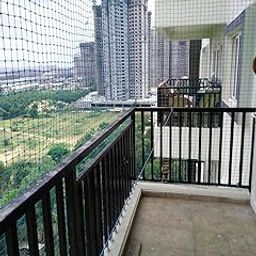 Raisco Anti Bird Net for Balcony, 20 x 10, Blue-picture-1