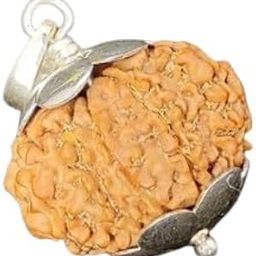 Gemstone Gallery Genuinely Rare 10 Mukhi Rudraksha Original Certified with Chain 10 Face Rudraksha Nepali Beads Ten Face Rudraksha Dus Mukhi Dashamukhi Rudraksha for Prayer Beads 10 मुखी रुद्राक्ष-16