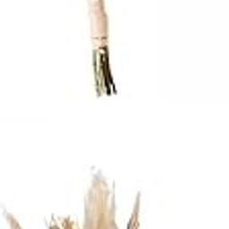 MERISHOPP 2pcs Dried Flowers Bouquets Dried Plants Wedding Boho Gold Pink |Home & Garden|Home D?©cor|Floral D?©cor-image-54