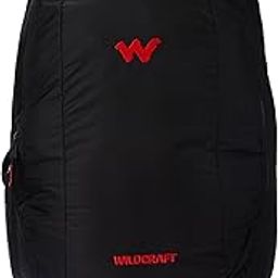 44 Cms Polyester Black Laptop Standard Backpack (8903338054290), 20 L-picture-22