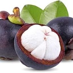 Thai Variety Dwarf Purple Mangosteen Fruit Live Plant, Nutrient-Rich Queen Of Fruit,Very Sweet Fruit Tropical Outdoor Garden Plant(1 Healthy Live Plant)-image-34