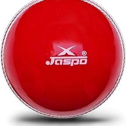 jaspo Cricket Ball Soft PVC Ball,Indoor & Outdoor Play, Colour Red (Pack of 1)-picture-17