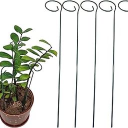 JASN HUT 18 Inch Plant Support Stakes for Indoor & Outdoor Plants| Sturdy Metal Stick for Strong and Healthy Plant Growth |Garden Trellis for Orchid Lily Rose Tomatoes (1.5 Ft,Green Color)(3)-image-31