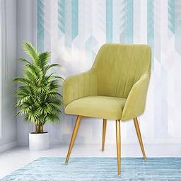 Curious Lifestyle Velvet Dining Chair | Cafe Chairs with Cushion Seat | Modern Velvet Fabric Accent Seat for Bedroom/Study Room|Restaurants Kursi with Armrest & Metal Legs (Lime, 19x24x39 Inch)-image-58