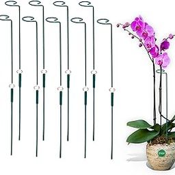 Garden Stakes - Metal Plant Support Sticks | Home Garden Accessories Metal, Indoor and Outdoor Plant Support Sticks (32 Inch, 5)-image-15