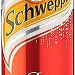 Schweppes Dry Ginger Ale Can, 320 ml-11