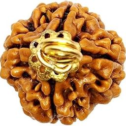 चार 4 मुखी रुद्राक्ष Auspicious Ruthratham 4 Face Rudraksha Original Certified Nepali Rudraksham with Thread Four Faced Char Mukhi Rudraksh Chaturmukhi Rudrachh Bead Men Women-picture-8