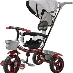 JoyRide 3-in-1 Trike Kids Tricycle with Reversible seat, Canopy, Adjustable Push Handle, Parent Control, Foldable footrest (RED)-image-51