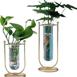 Amazing Decors Glass Propagation Station with Metal Frame, Desktop Planter Vase, Set of 2, Blue Gift, Home Decor, Bedroom, Office Corner, Christmas Décor Items Best for Giftings-15