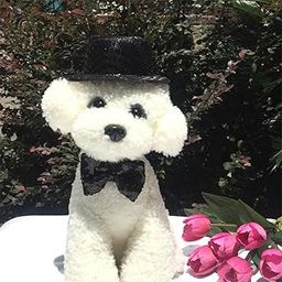 bnf® Pet Cat&Dog Formal Hat, Xmas Party Holiday Dress Up Hats/Cap Black | Clothing & Shoes | Dog Supplies-image-59