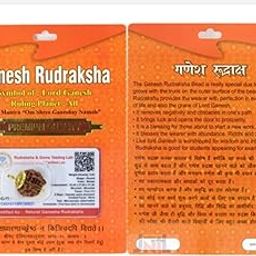 JNiL Ganesh Rudraksha Certified/Original Nepali Ganesh Rudraksh/Natural Ganesh Rudraksha (Brown) with Certificate and Puja Instructions (Pack of 1)-image-34
