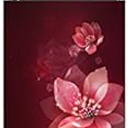 Whirlpool 265 L 2 Star Frost Free Double Door Refrigerator Wine Mulia (WP REF NEO SP278 PRM WNE PEONY2STL-22131)-picture-22