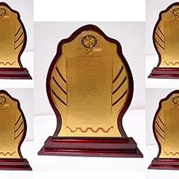 Wooden Sheild Trophy Momento 10.50 Inches or 26.50 Centimeters Pack of 5-image-9