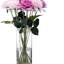 Decent Glass Clear Cylinder Glass Vase Floral 25cm Tall x 10cm Wide Cylinder Glass Vase for Weddings, Events, Decorating, Arrangements, Flowers, Office, or Home Decor. (25cm)-image-46