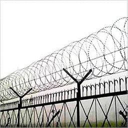 WONDER PLUS Concertina Coils Fencing & Security Coil for Garden and Buildings, Property Safety Fencing (450mm - 6Meter Length) 1Coil-29