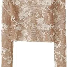 icw Women Long-Sleeves Boat Neck Transparent Mesh Sheer Floral Embroidery Crop Top T-Shirt DN648-picture-32