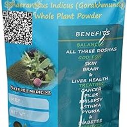 Sidhara Betta Herbals Sphaeranthus Indicus Whole Plant Powder | Gorakhmundi | Tapaswini | Pack of 1 (50g)-image-15