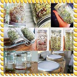 CARTNOVA‚Sprouting Seeds Germination Kit: Easy Mason Jar Sprouting System with Filter & Bracket for Healthy Homegrown Sprouts-image-9