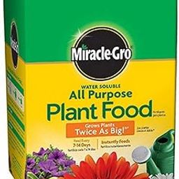 Miracle-Gro 160101 Water-Soluble All Purpose Plant Food, 24-8-16, 1-Pound-image-55