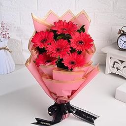 FlowerAura Fresh Live Flower Bouquet of 6 Pink Gerberas Flowers For Birthday Gift, Anniversary Gift, Wedding Gift, Mother's Day Gift, Love & Romance Gift, Father's Day Gift (Same Day Delivery)-image-74